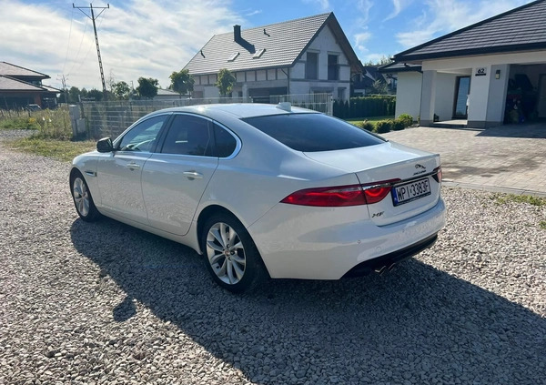 Jaguar XF cena 77000 przebieg: 132000, rok produkcji 2017 z Chocianów małe 37